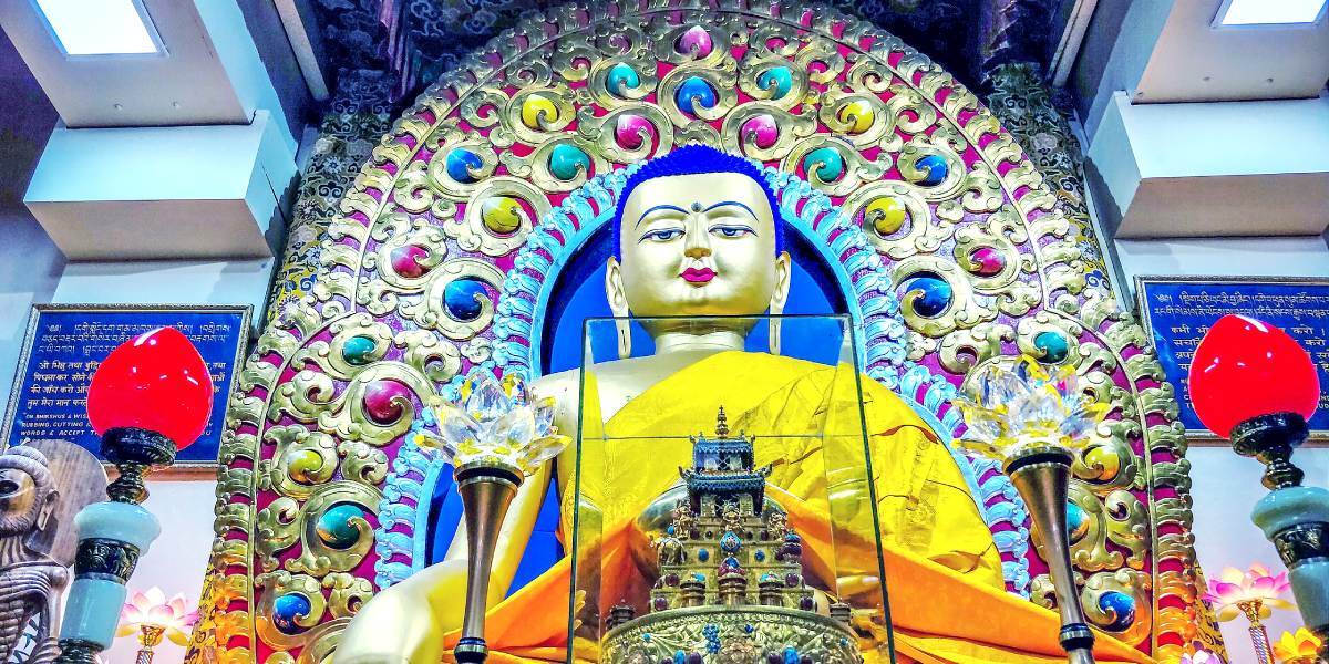 Amritsar to Peaceful Dharamshala Scenic Escape