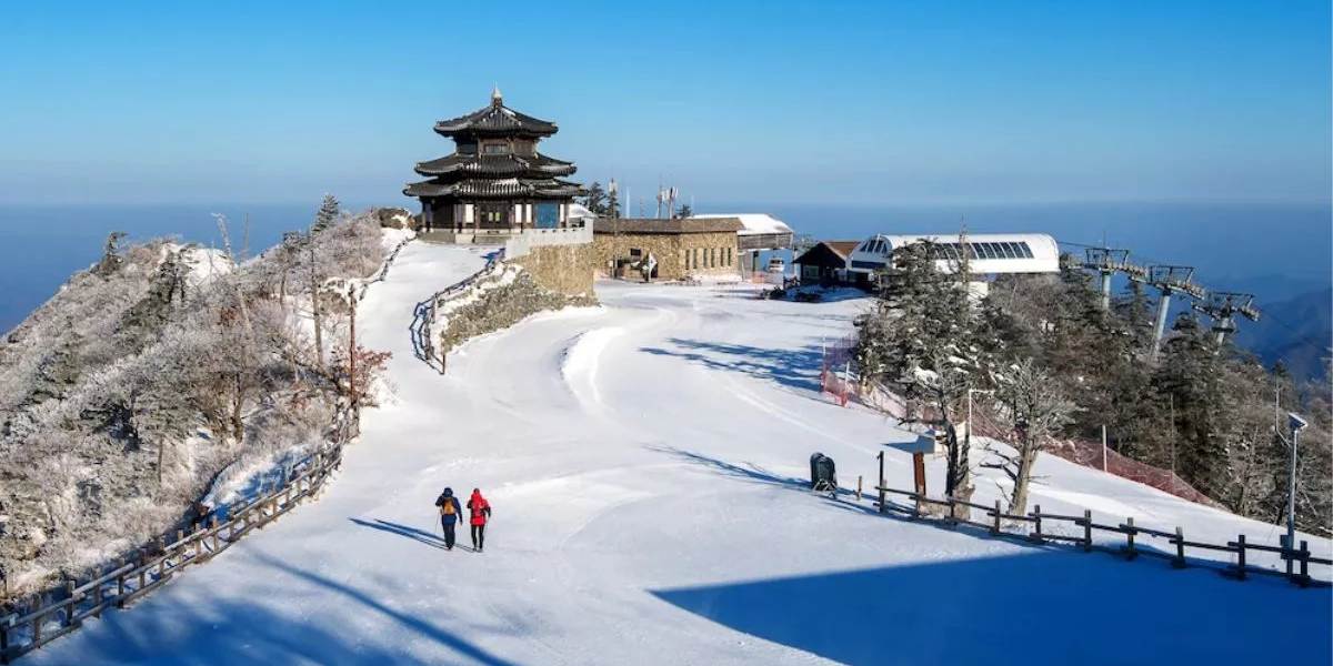 Amritsar–Dharamshala–Manali Mountain Adventure Trail