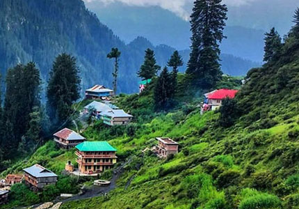 Dalhousie Taxi