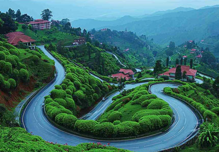 Dalhousie Taxi