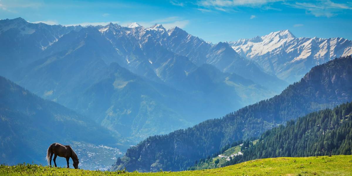 Shimla, Manali, Dharamshala & Dalhousie Complete Tour from Amritsar