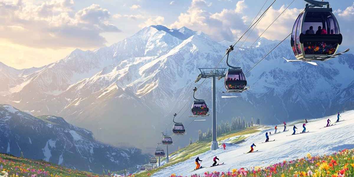 Srinagar Gulmarg Sightseeing Tour