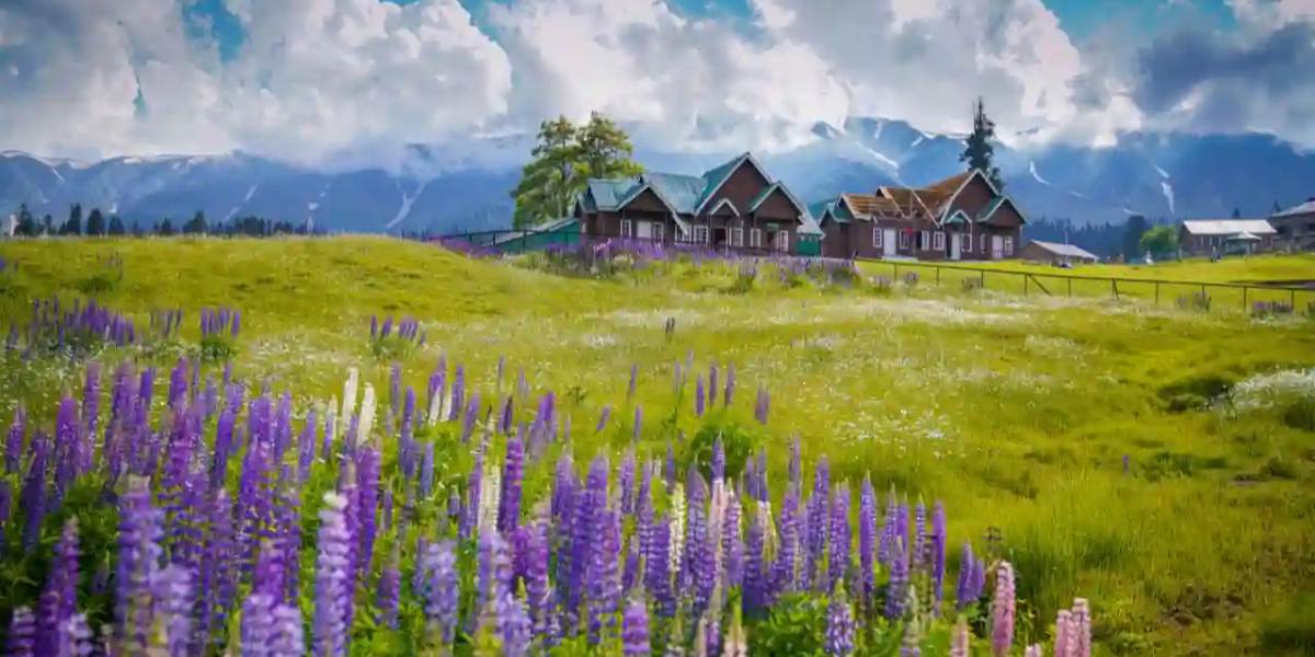 Kashmir Vacation Tour from Amritsar