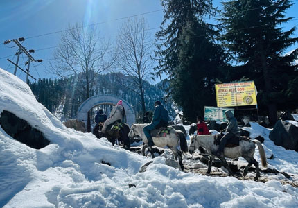 Manali Taxi