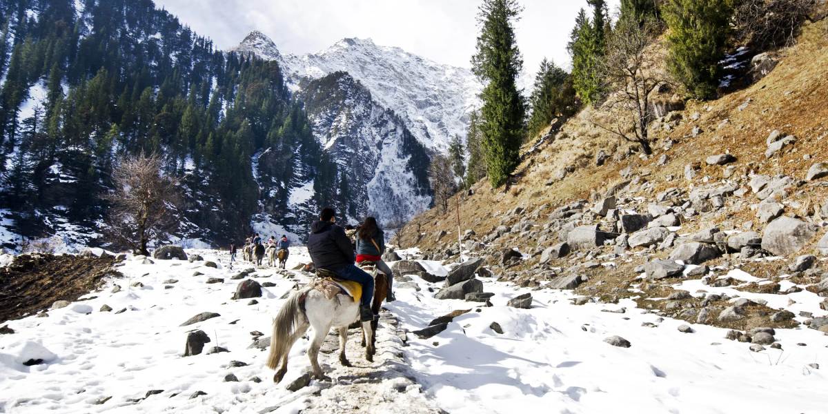 Shimla Manali Scenic Drive Tour from Chandigarh