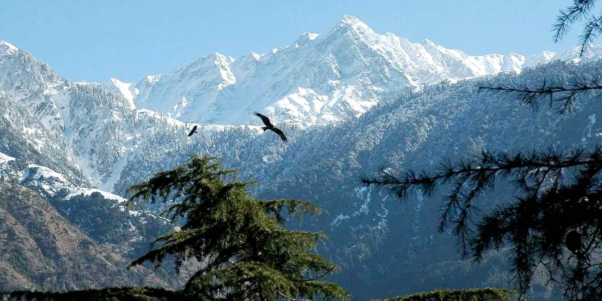 Dharamshala McLeodganj Himalayan Tour from Amritsar