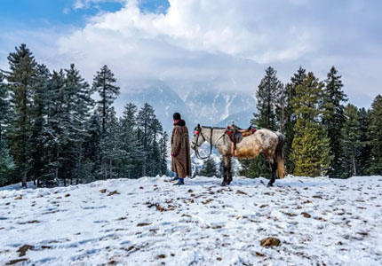 Srinagar Taxi