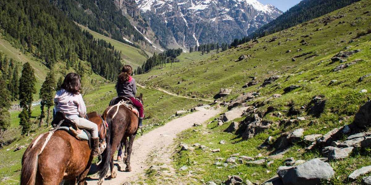 Srinagar Sightseeing Tour from Chandigarh