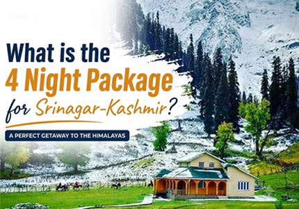 Srinagar Sightseeing Tour from Chandigarh