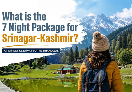 Kashmir Scenic Tour Package
