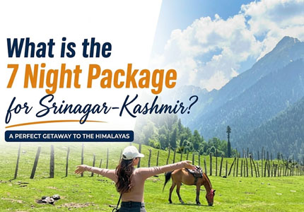 Srinagar Gulmarg Pahalgam Sonmarg Trip Holiday Package