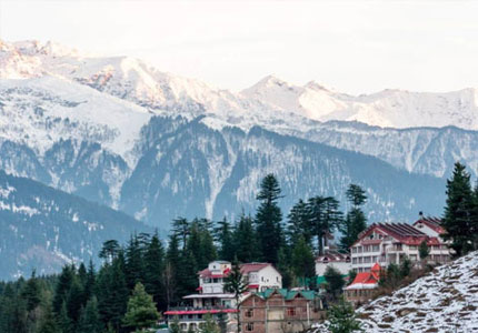 Shimla Taxi